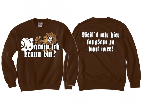 Pullover - Warum ich braun bin? 2 - braun